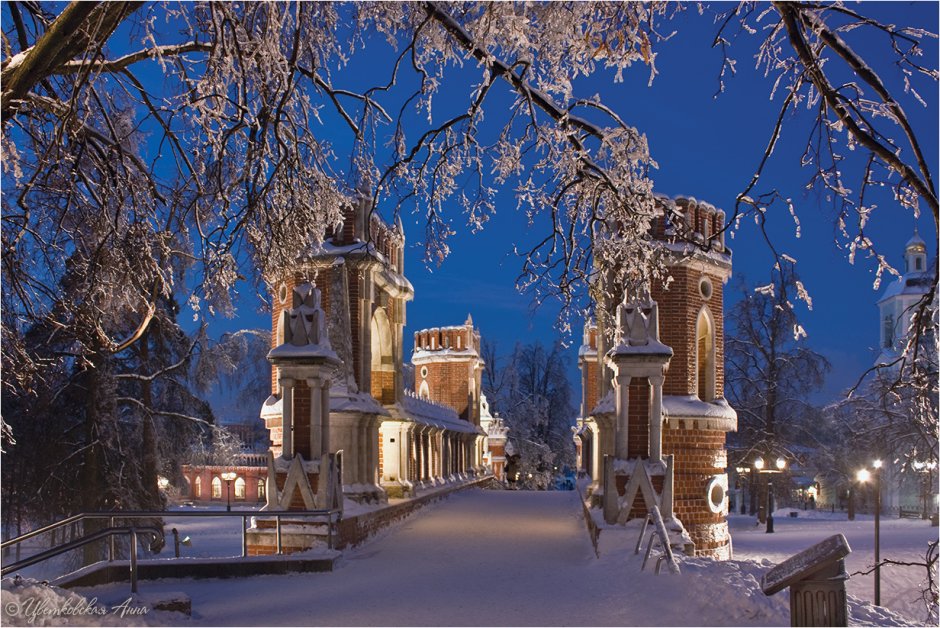 Усадьба Царицыно Москва зимой