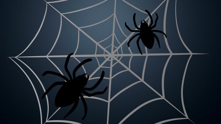 Паутина с пауком на Хэллоуин