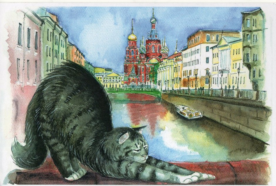 Петербургские коты Чурова
