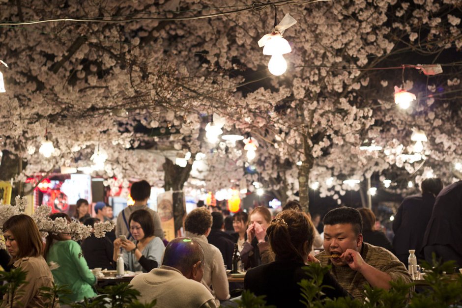 Праздник цветения Сакуры 27 марта