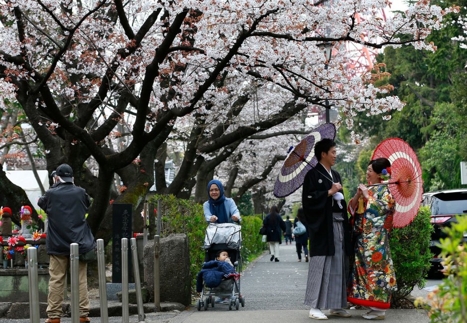 Фестиваль весны в Японии