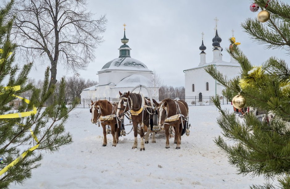 Суздаль 2021 новогодний Суздаль