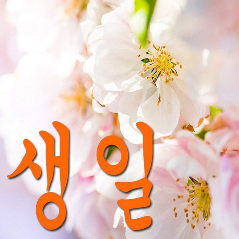 Открытка с днем рождения на корейском языке