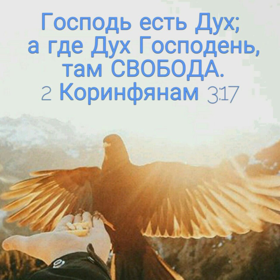 Господь есть дух а где дух Господень там Свобода