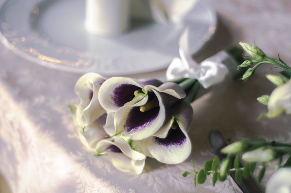 Калла natural Bouquet
