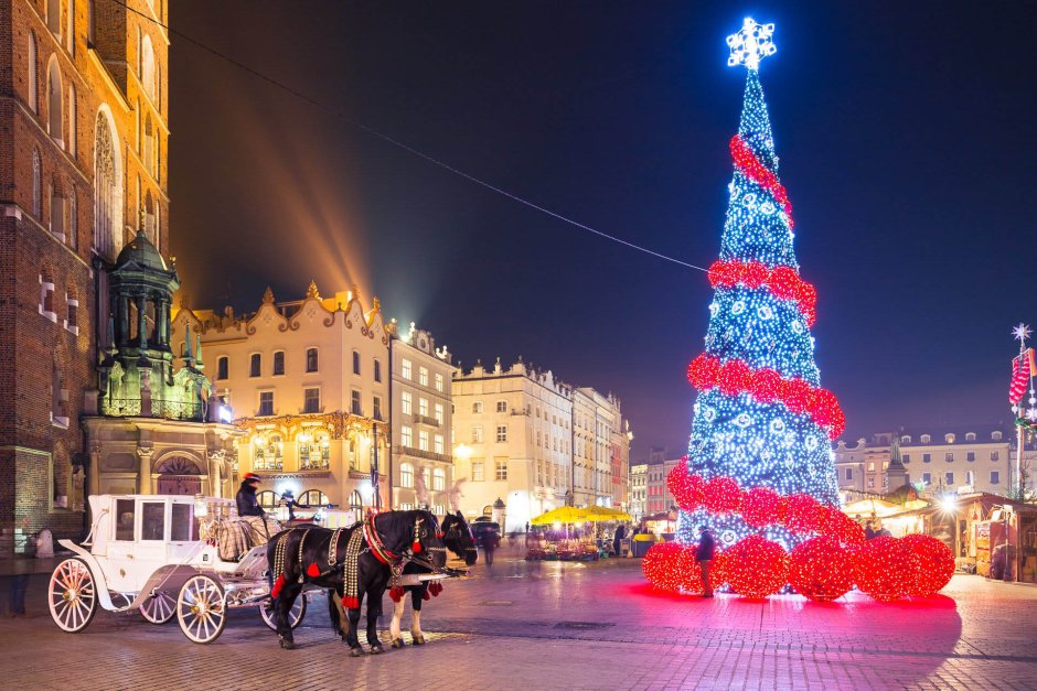 Новогодняя елка в Кракове