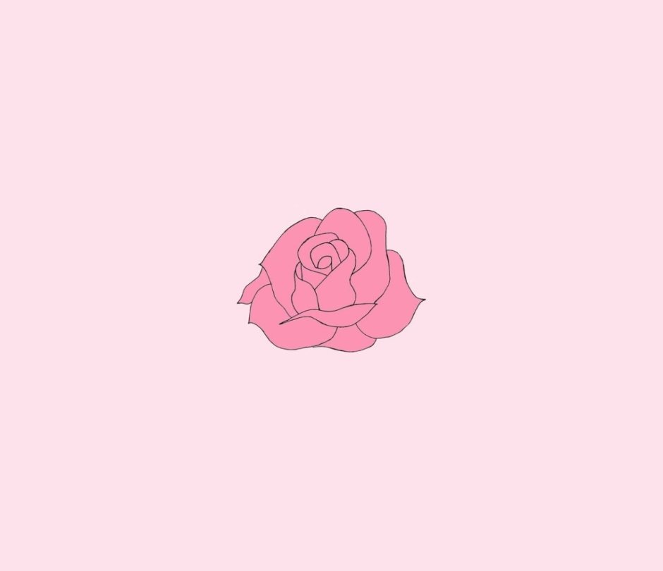 Цветок на розовом фоне Минимализм
