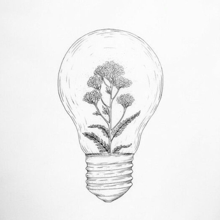 Рисунки для срисовки лёгкие растения