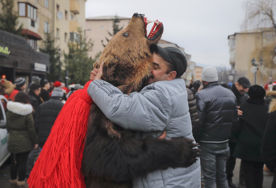 Плугушорул в Румынии