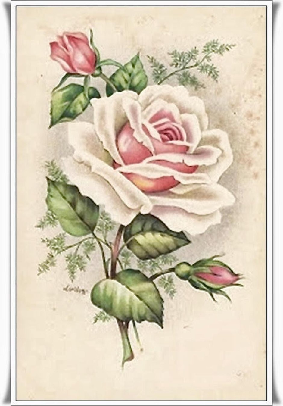 Старинные открытки с розами