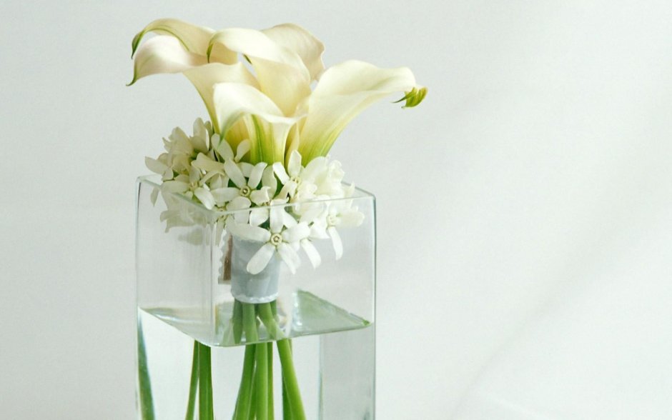 Один белый цветок в стеклянной вазе