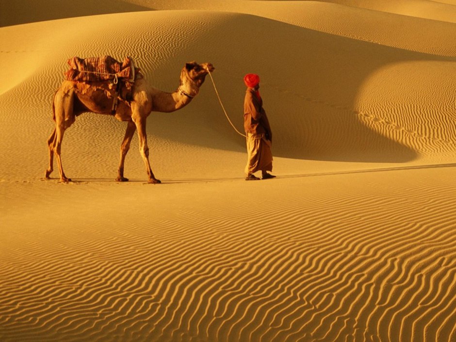 Человек с верблюдом в пустыне
