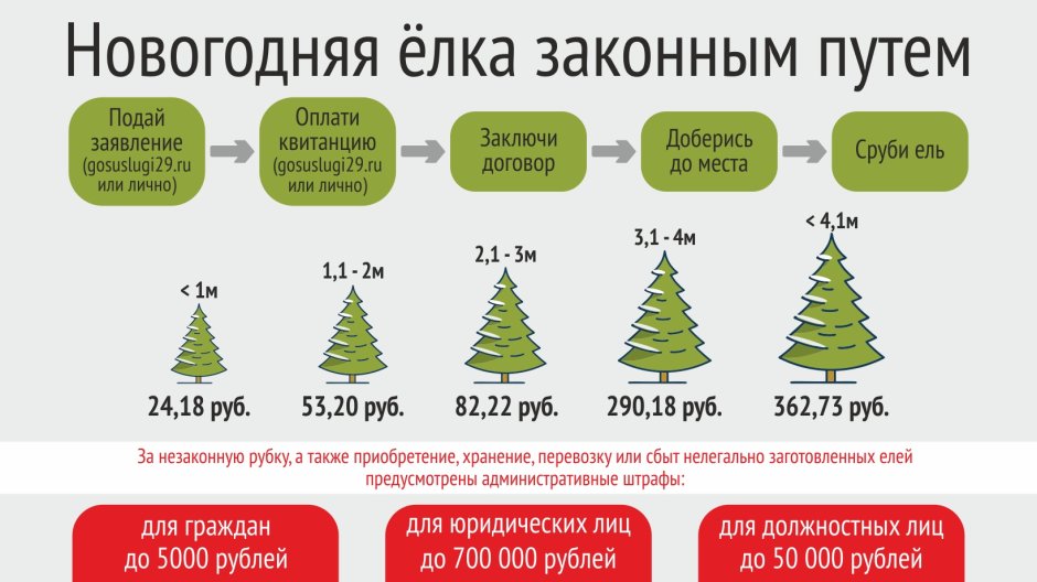 Штраф за срубленную елку