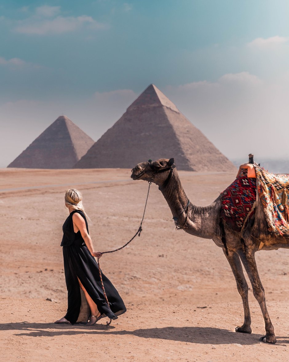 Верблюд и пирамиды