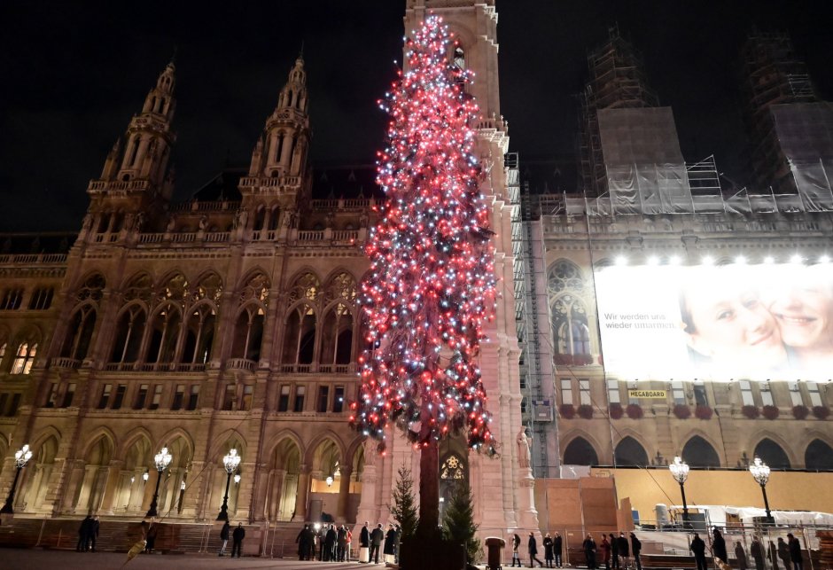 Рождественская елка Вена