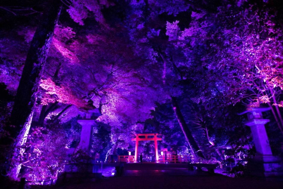 Фестиваль света в Японии