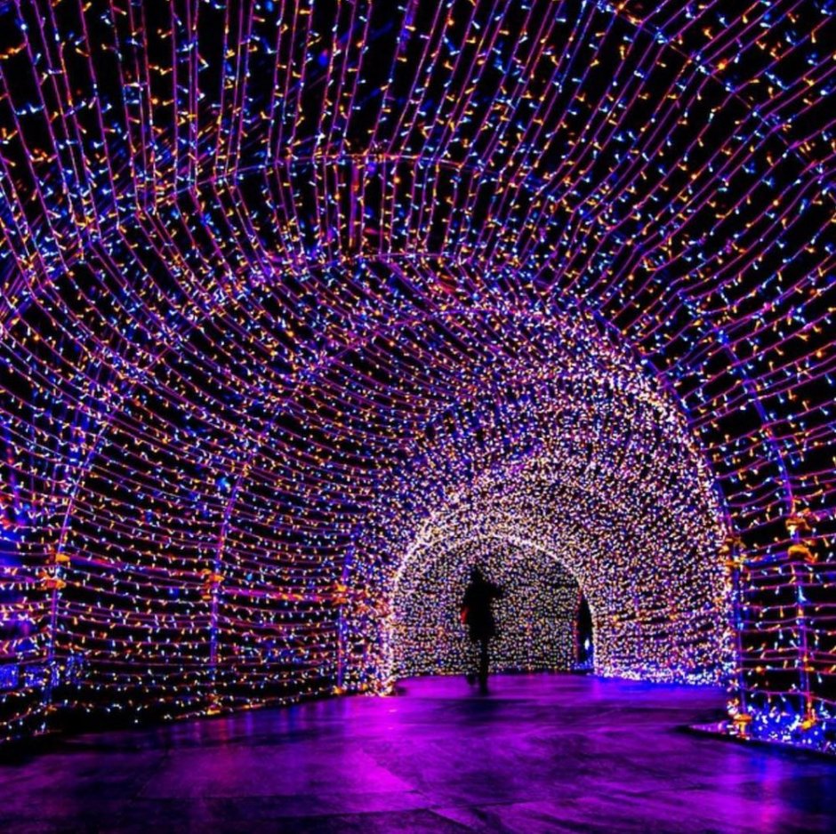 Фестиваль света в Японии Кувана туннель