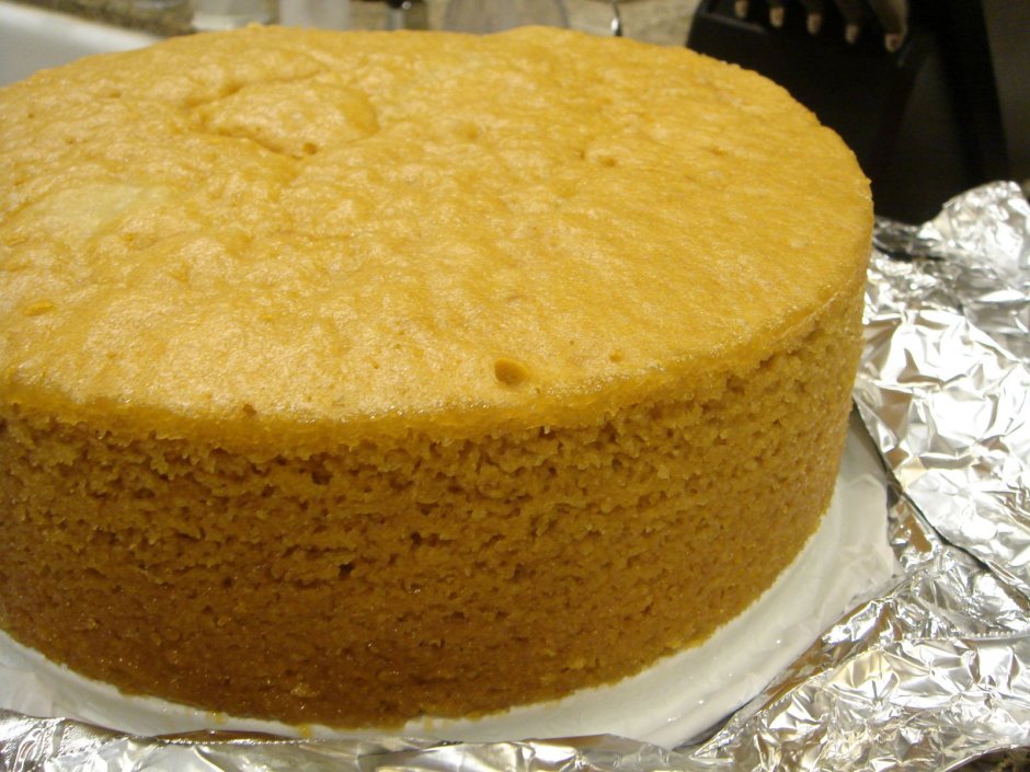 Медовый бисквит для торта