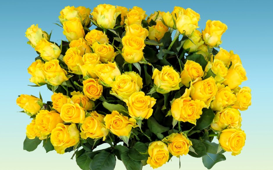 Открытка большой букет желтых роз