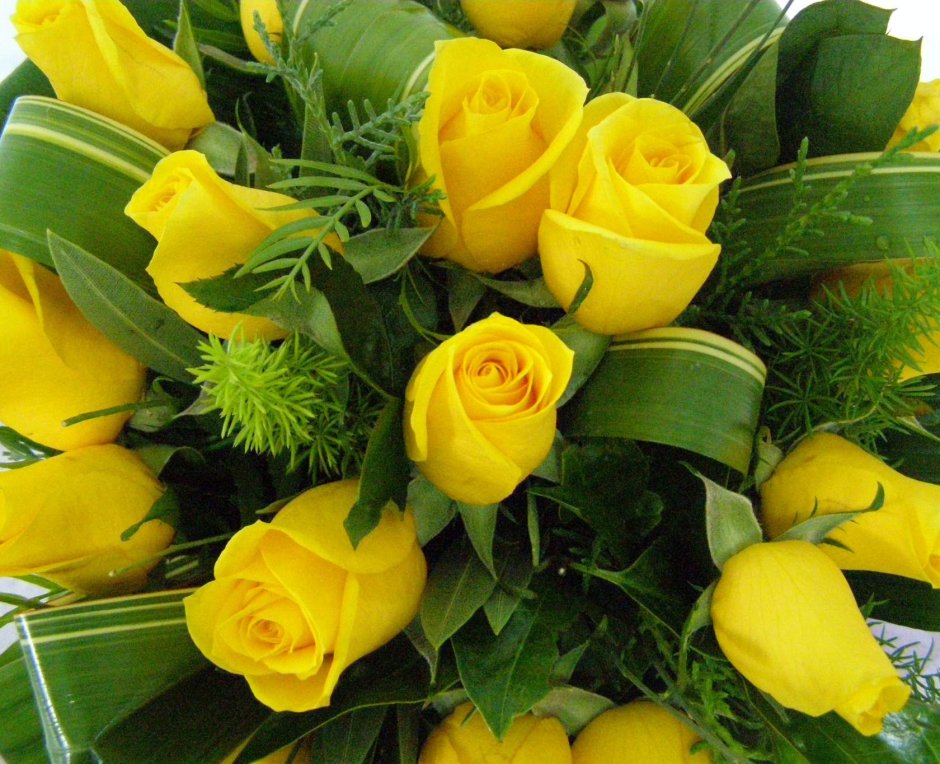 Тюльпан желтая роза