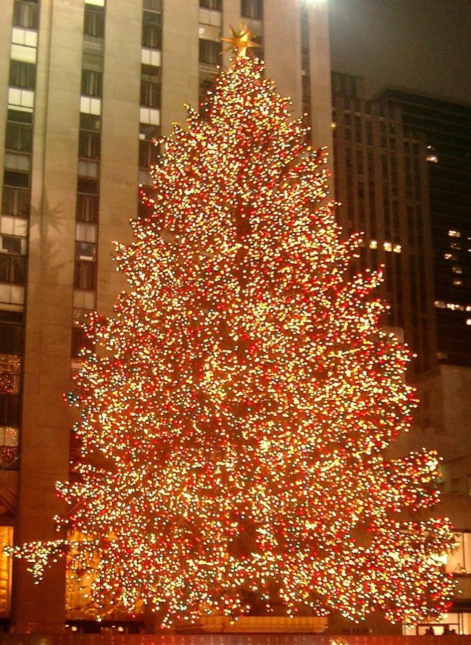 Новогодняя елка в Америке