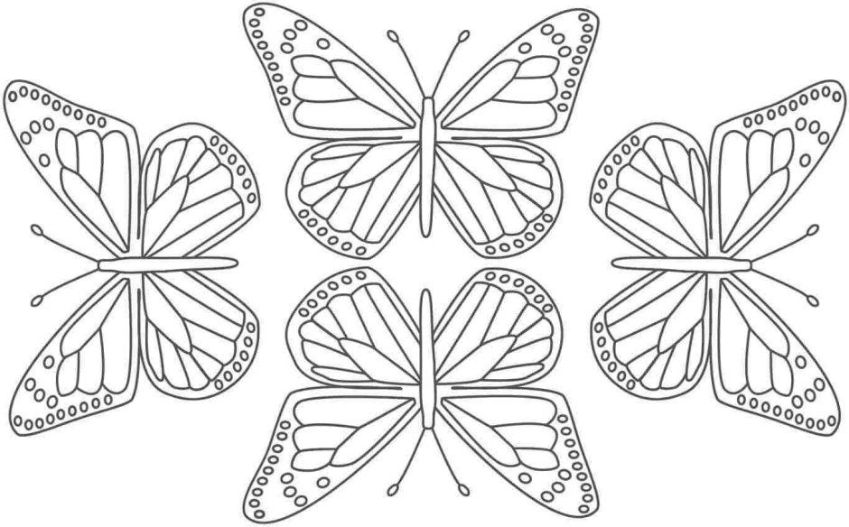Трафарет бабочки для айсинга