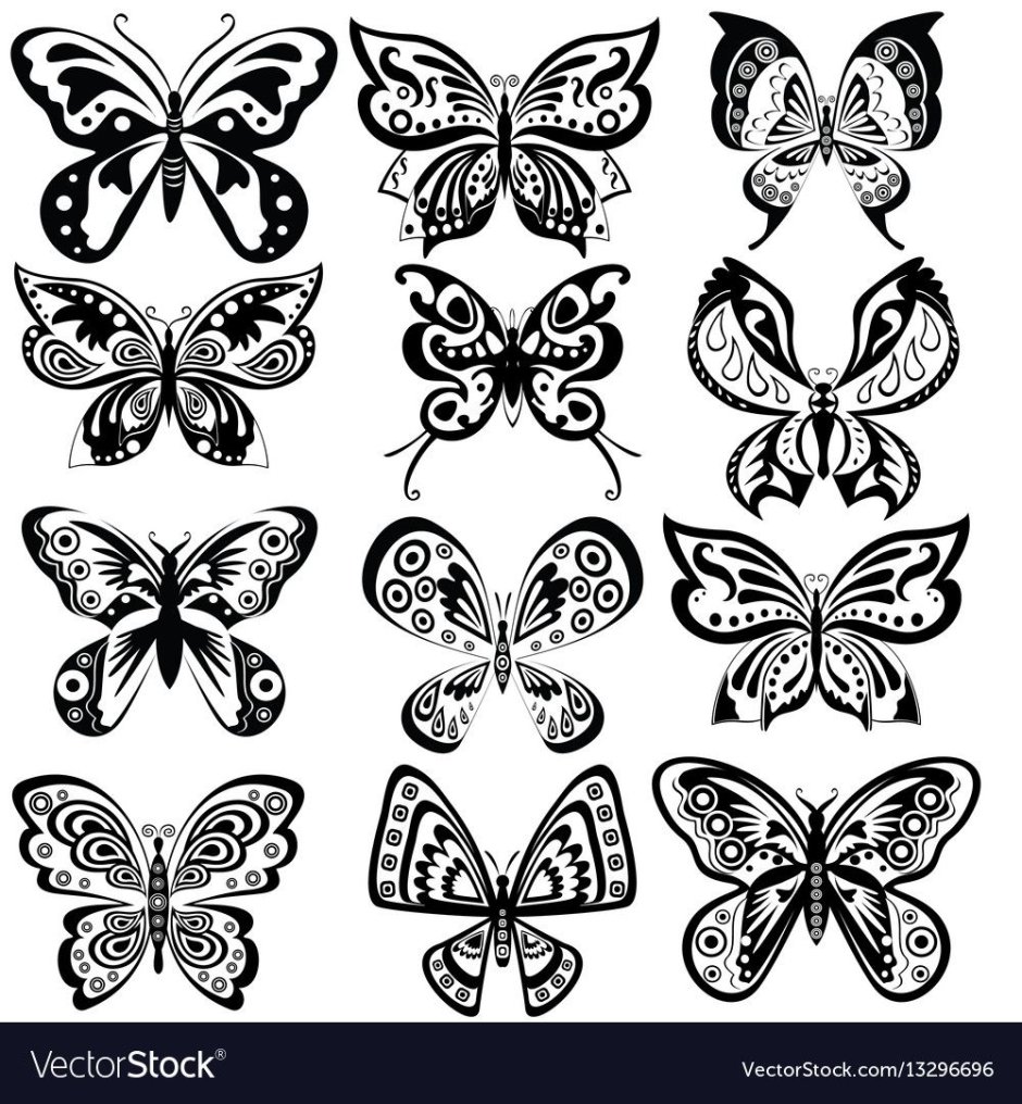 Разнообразные узоры бабочки