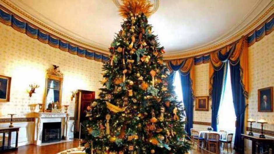 Новогодняя елка во Дворце