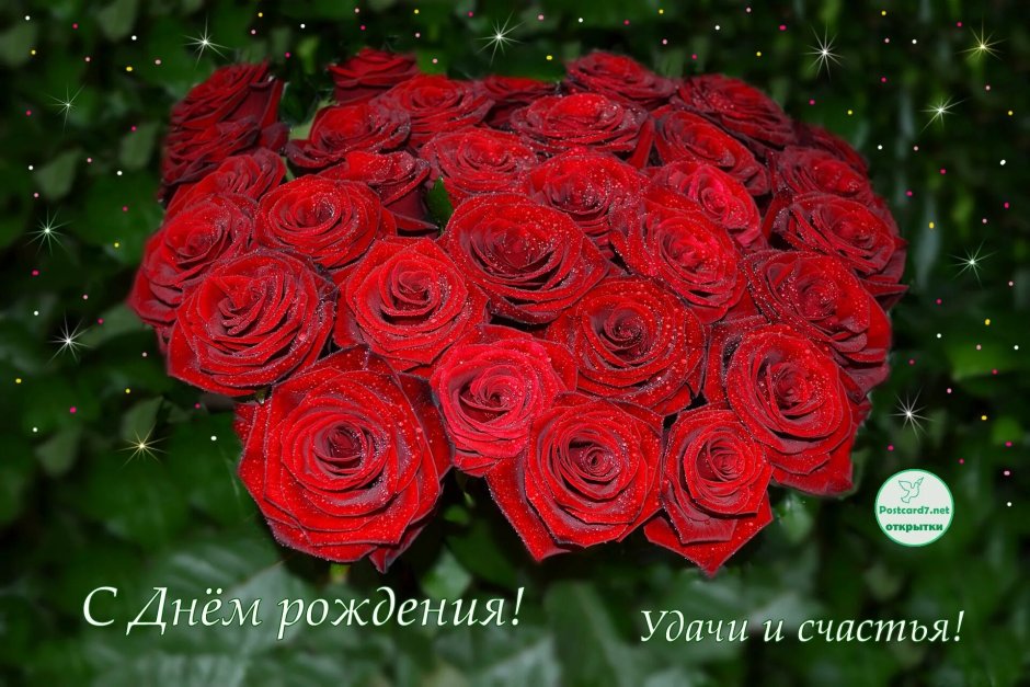 Открытки с днем рождения розы красные