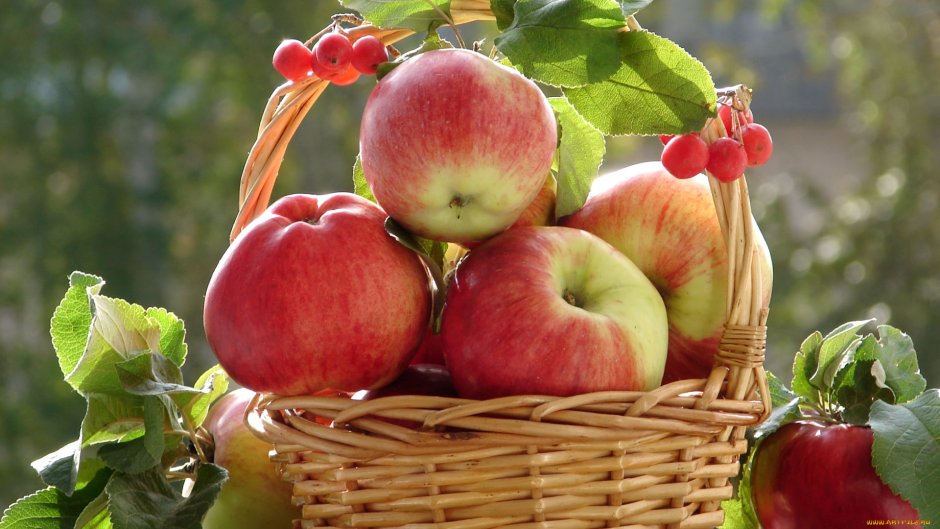 19 Августа праздник яблочный спас