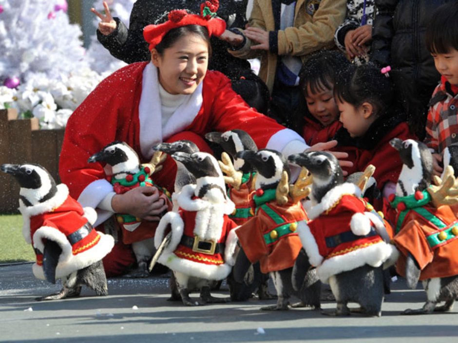 Санта Клаус Южной Кореи