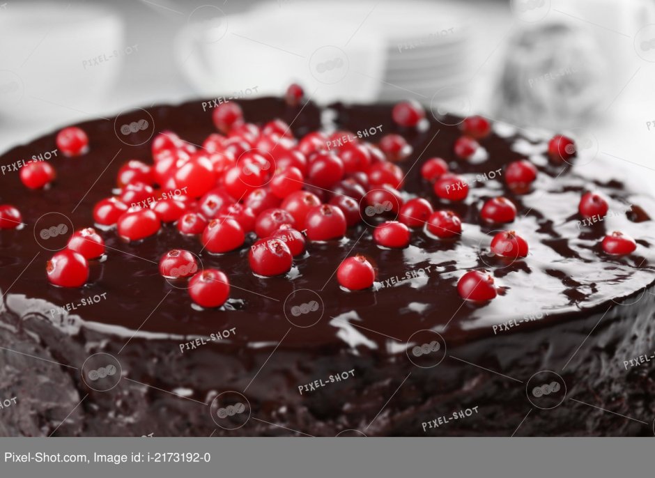 Шоколадный торт с клюквой