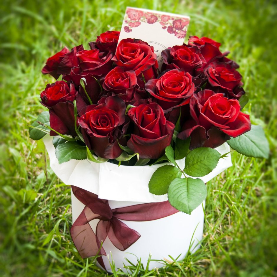 Красные розы букет красивый коробочка