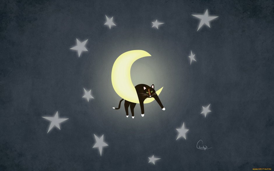 Кошка Луна