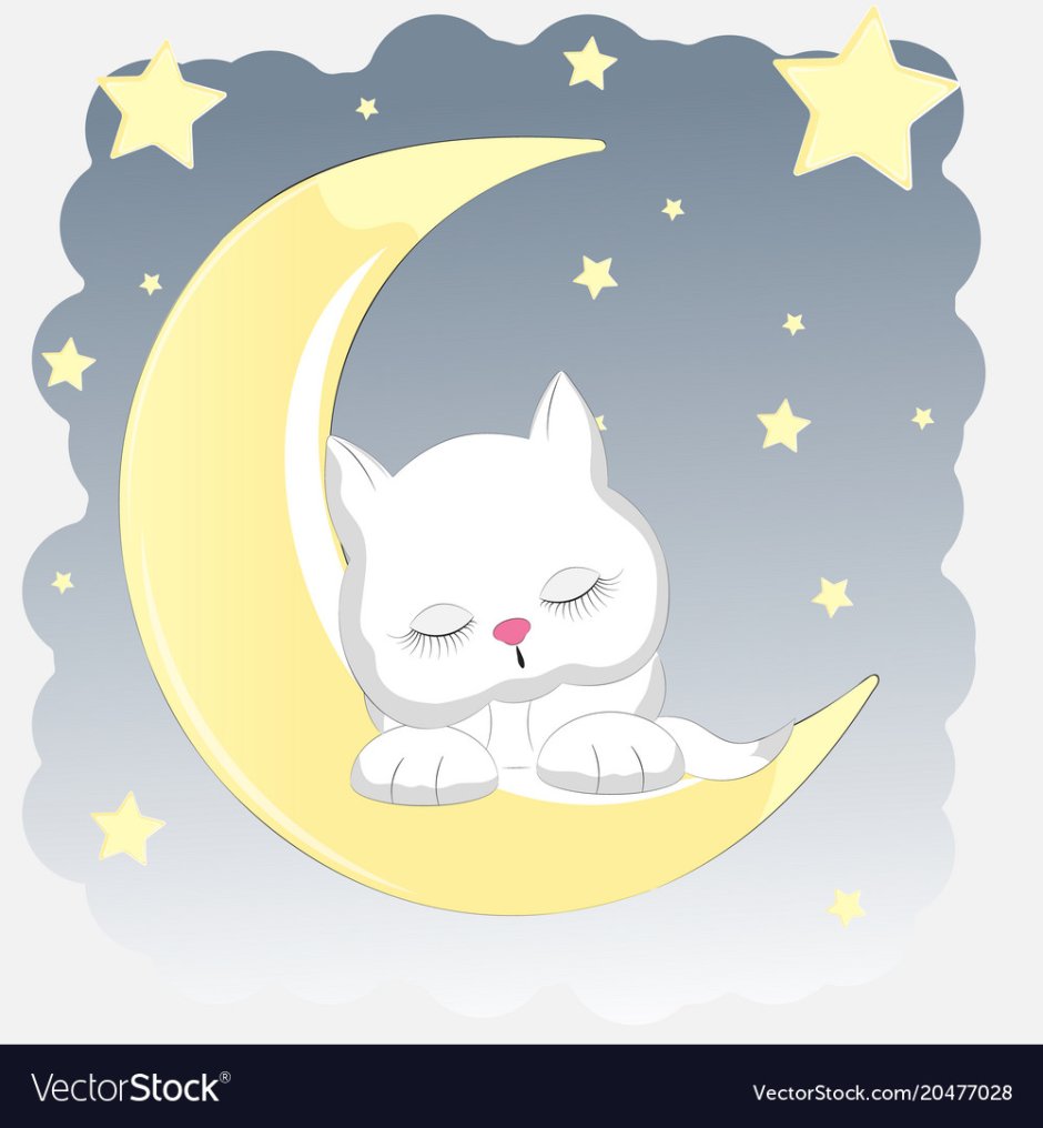 Спящий котик на Луне