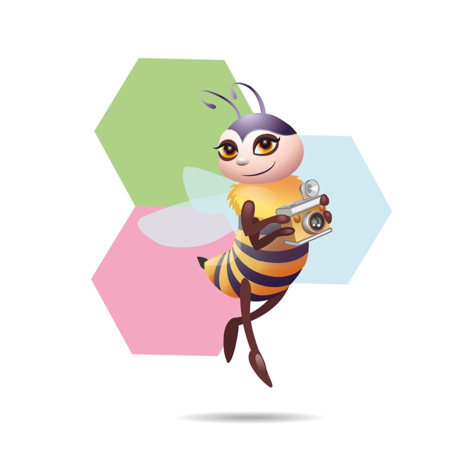Соревнования Bee