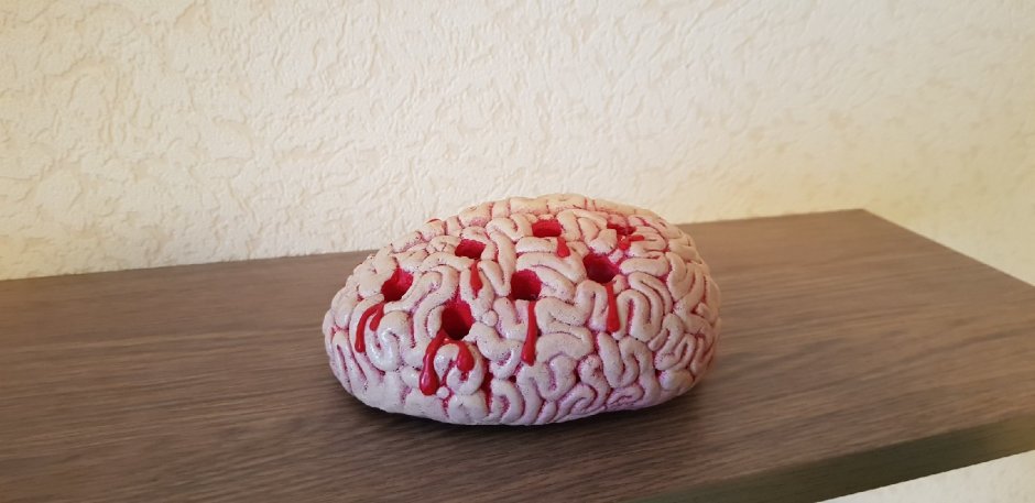 Человеческий мозг 3д модель