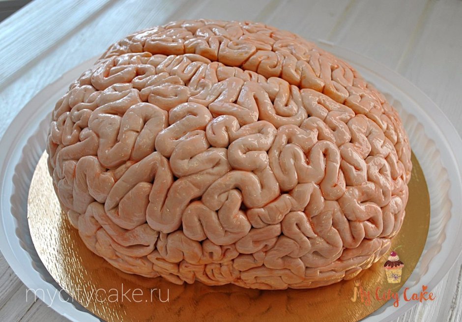 Мозг Сток