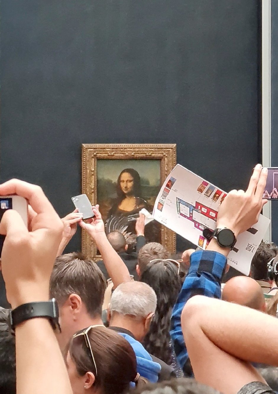 Мона Лиза тортом картину посетитель