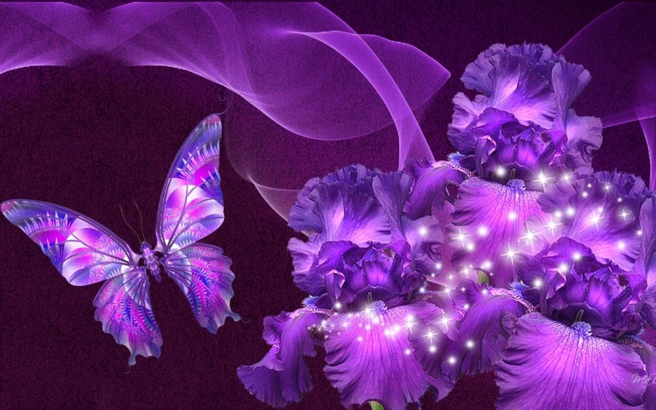 Фиолетовые живые цветы