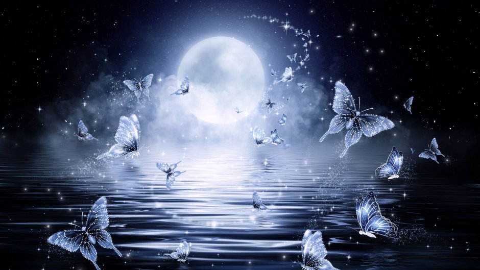 Ночь бабочки Луна