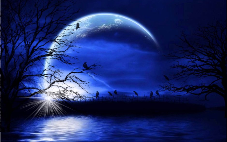 Волшебная Лунная ночь