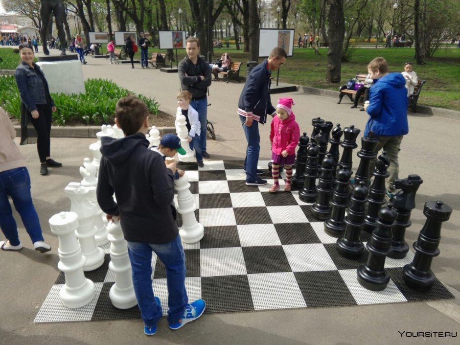 Уличные шахматы в парке