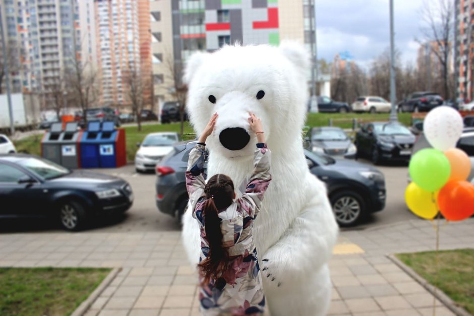 Ростовой белый медведь поздравляет с днем рождения