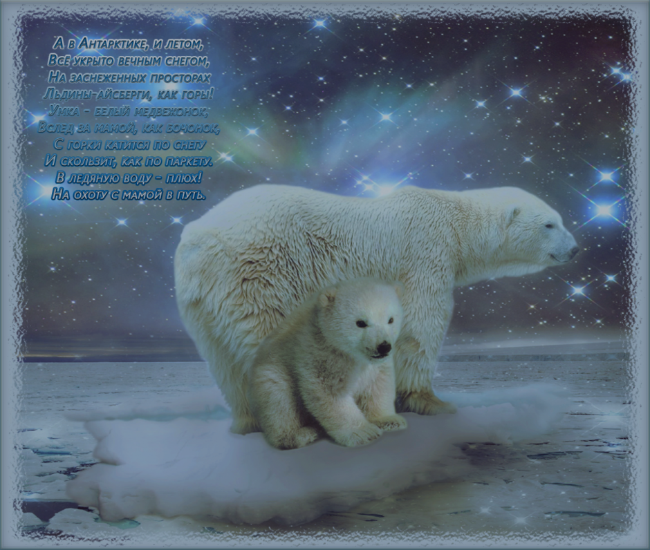 Белый медведь глобальное потепление