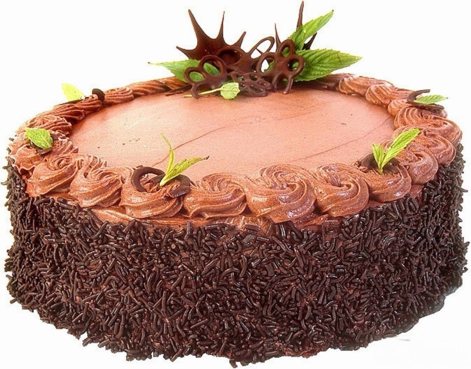 Торт Штефания шоколадный