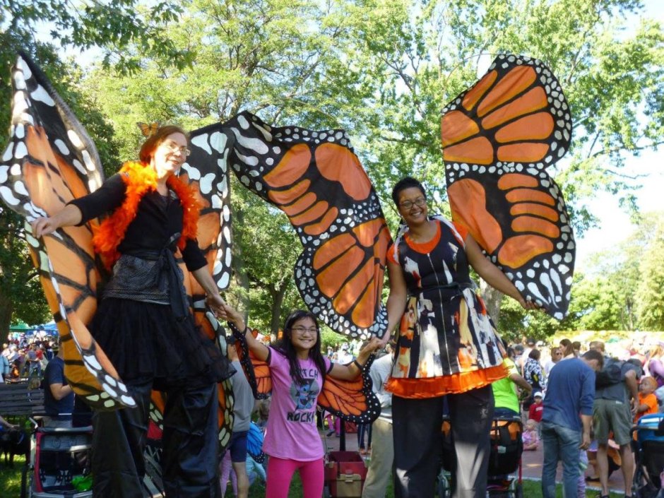Фестиваль бабочек
