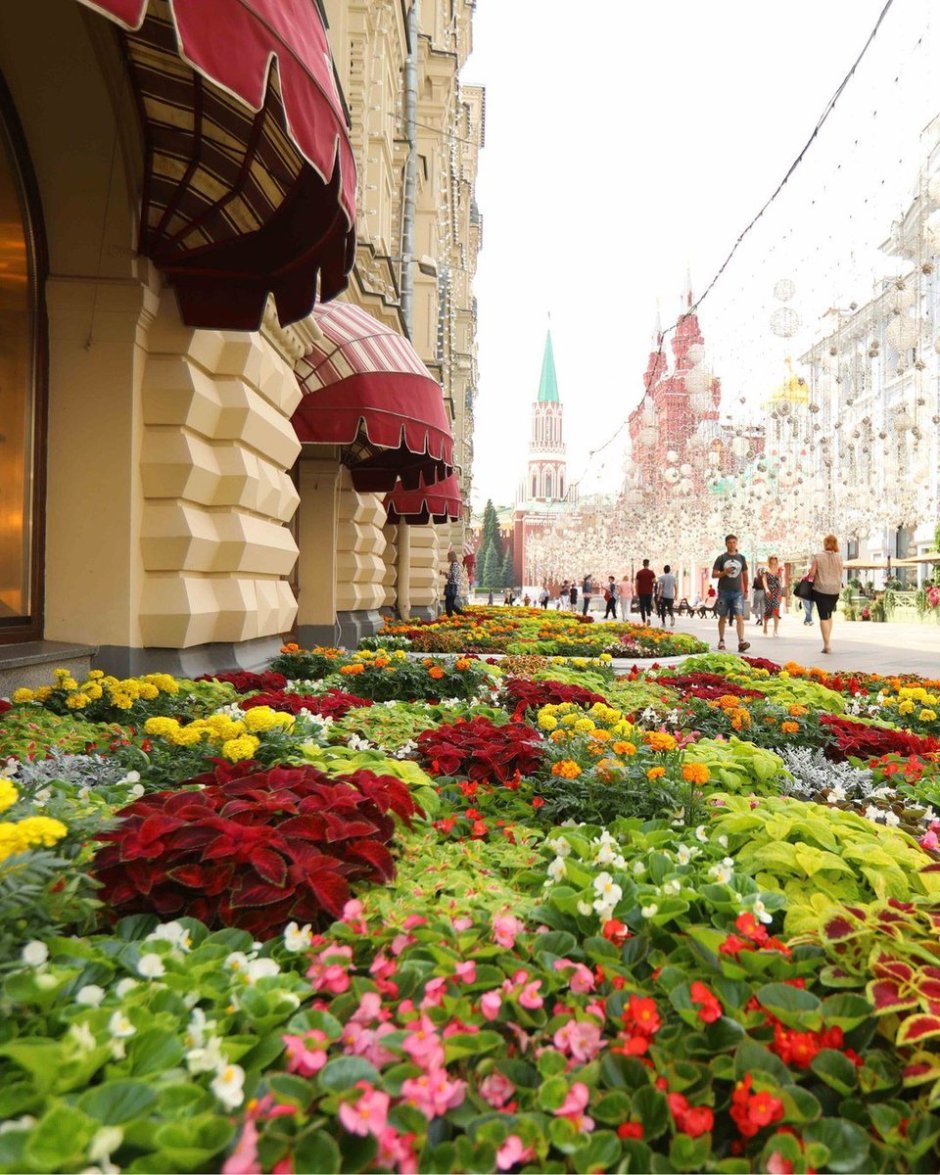 Фестиваль цветов в Москве в ГУМЕ