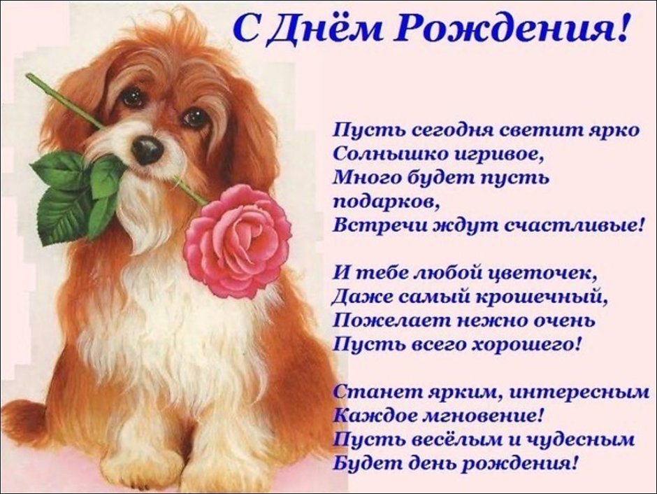 Стихи с днём рождения