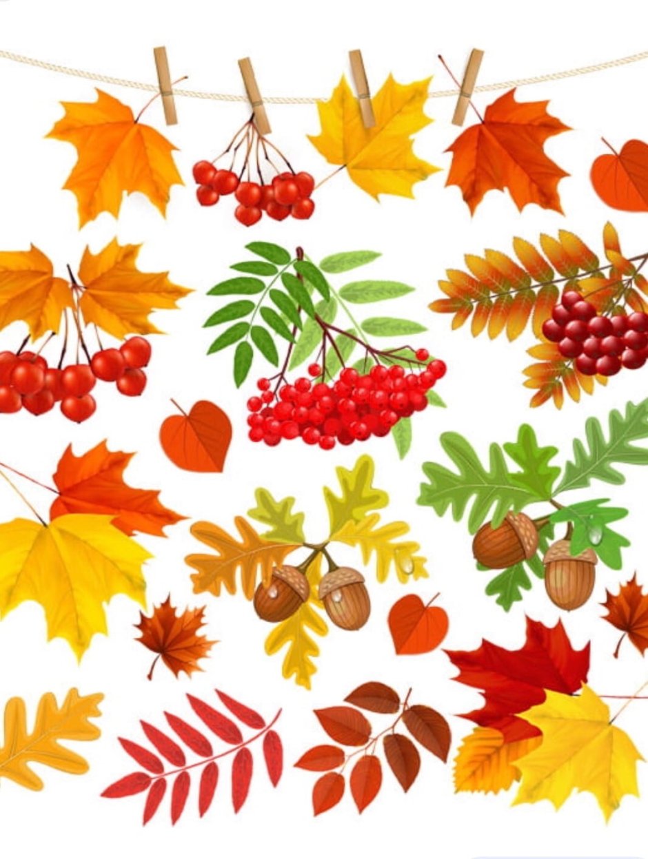 Осенние листья для детского сада